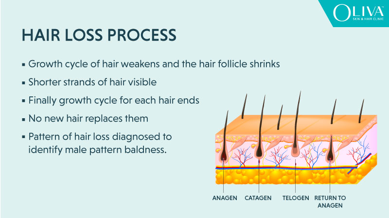 causes of hair loss