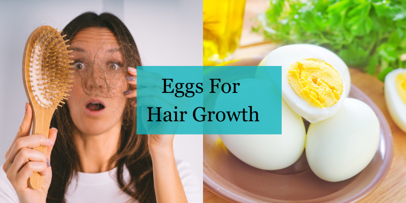 Eggs For Hair Growth