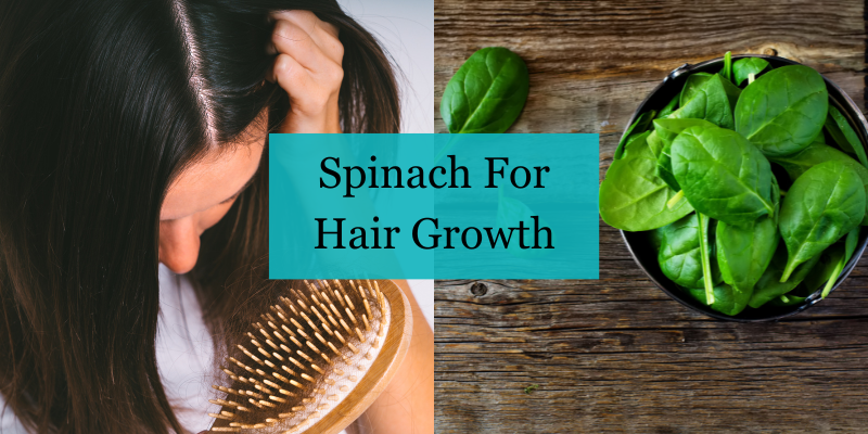 Spinach For Hair Growth