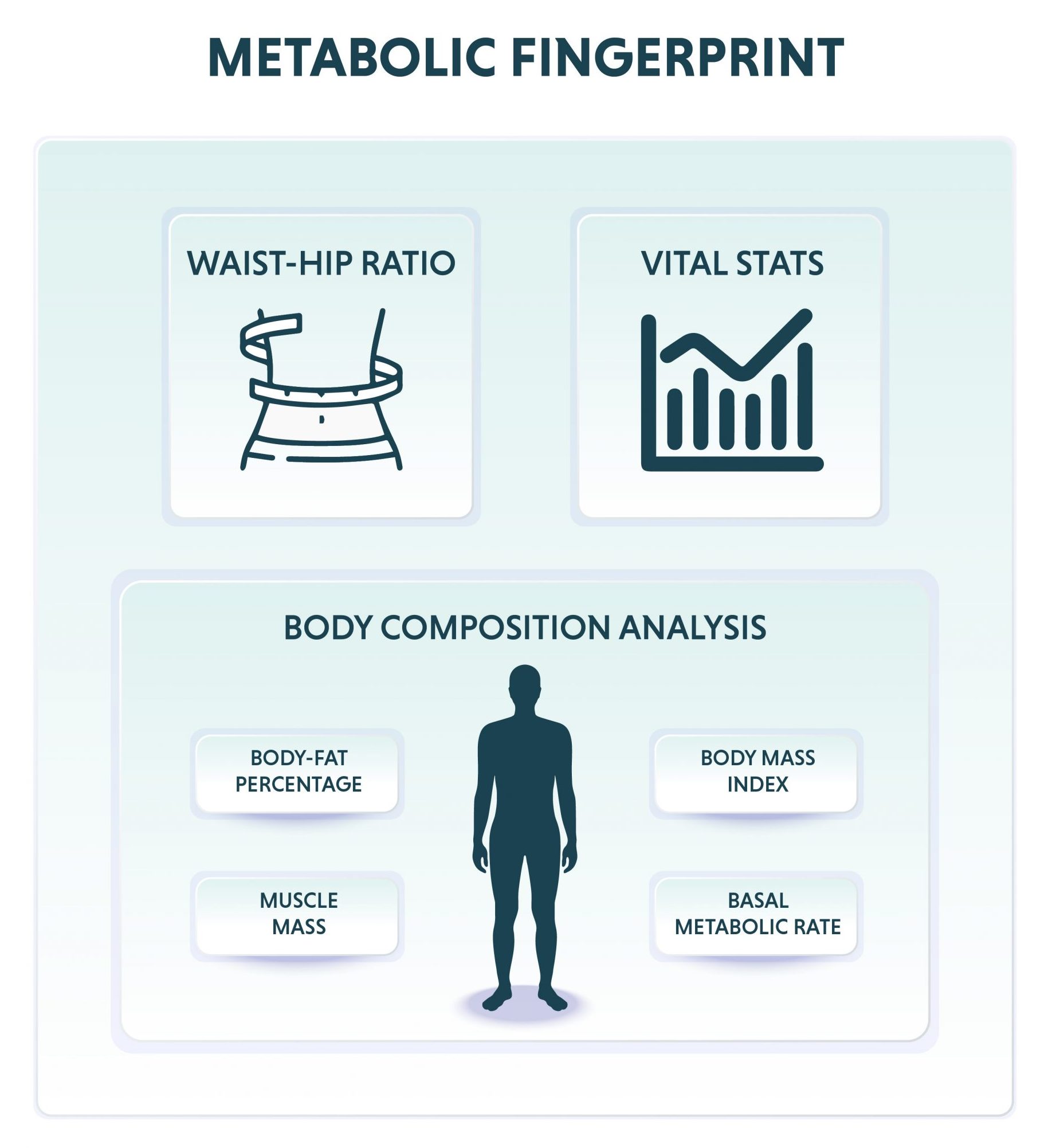 Metabolic Fingerprint Infographic